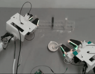 Whole-body control project demo